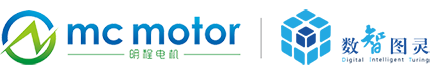 logo-Digtal Intelligent Turing